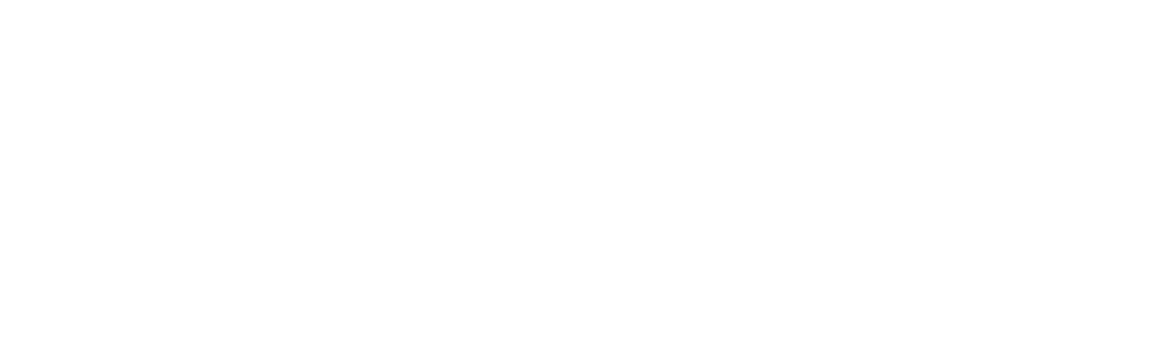 Skydeity Full Logo
